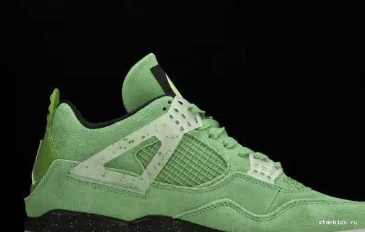 4 AJ4-904284 Oregon Duck Air PE  Green Jordan AJ4-904284  0704